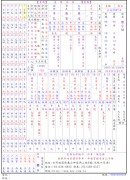 八字论命-专业版