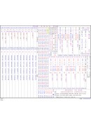 八字论命-专业版