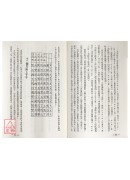 白話梅花易占