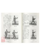 張三豐太極拳