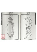 傷科真傳秘抄