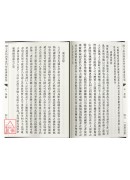 心一拳術