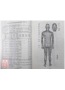 针灸铜人图谱