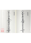 奇門怪招符訣