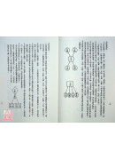 紫微斗數探源