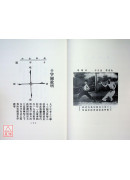 洪拳易知