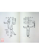 洪拳易知