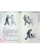 南拳