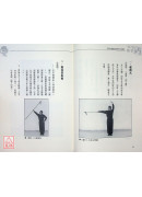 杨家枪