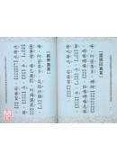 金剛頂瑜伽最勝祕密成佛隨求即得神變加持成就陀羅尼儀軌 C294